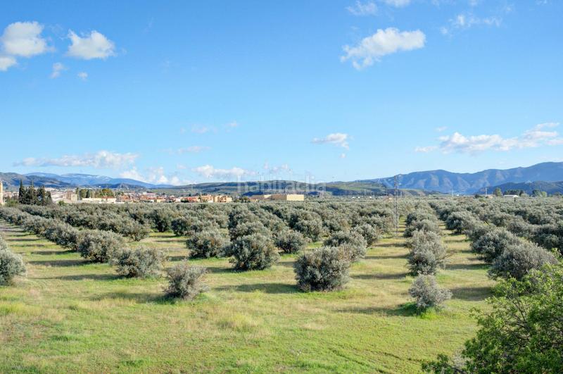 Foto d5e470db-55ec-477d-ac82-2e4393ea90d3. Terreno residencial solar con estructura en Dúrcal