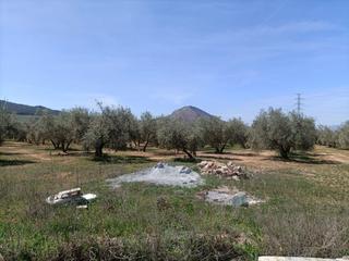 Country house  Polígono la zanja. Finca rústica en venta