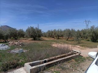 Masia  Polígono la zanja. Finca rústica en venta