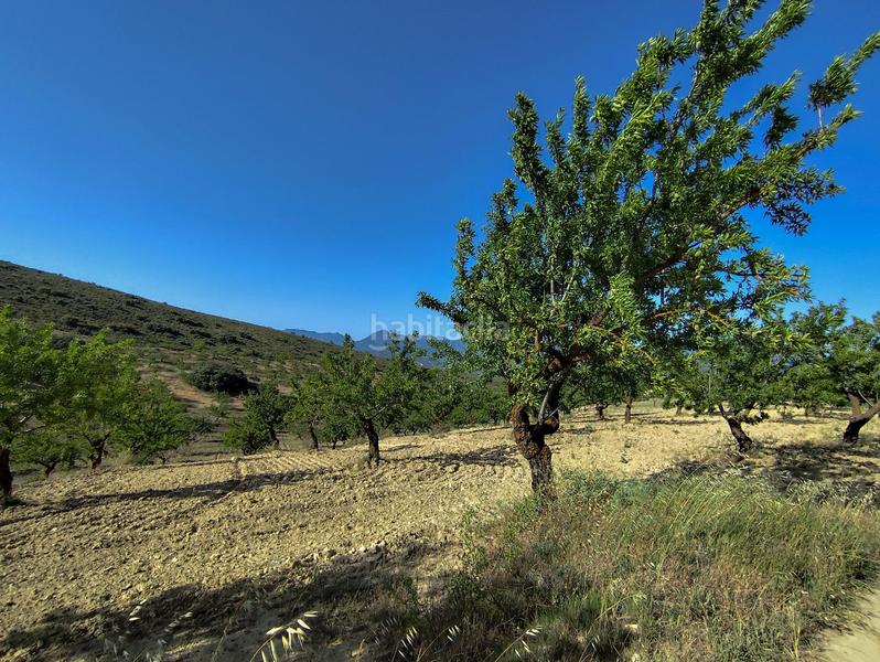 Foto 44bb6c84-fae8-4130-8f78-59989cef1a6c. Propriété dans Arenas del Rey