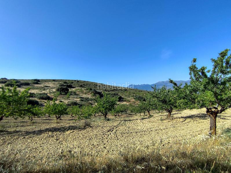 Foto 5a391ad3-fa6e-4d8b-9b43-613fbf2594a2. Propriété dans Arenas del Rey