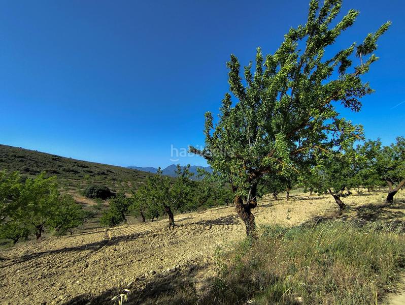 Foto 75d58e82-94fa-4d5f-9276-d60288504228. Propriété dans Arenas del Rey