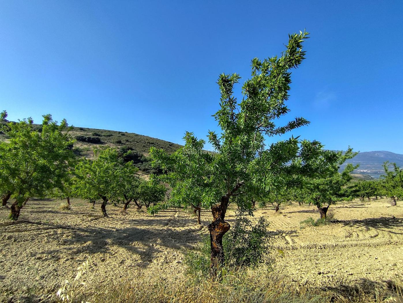Finca Rstica en Arenas del Rey Arenas del Rey