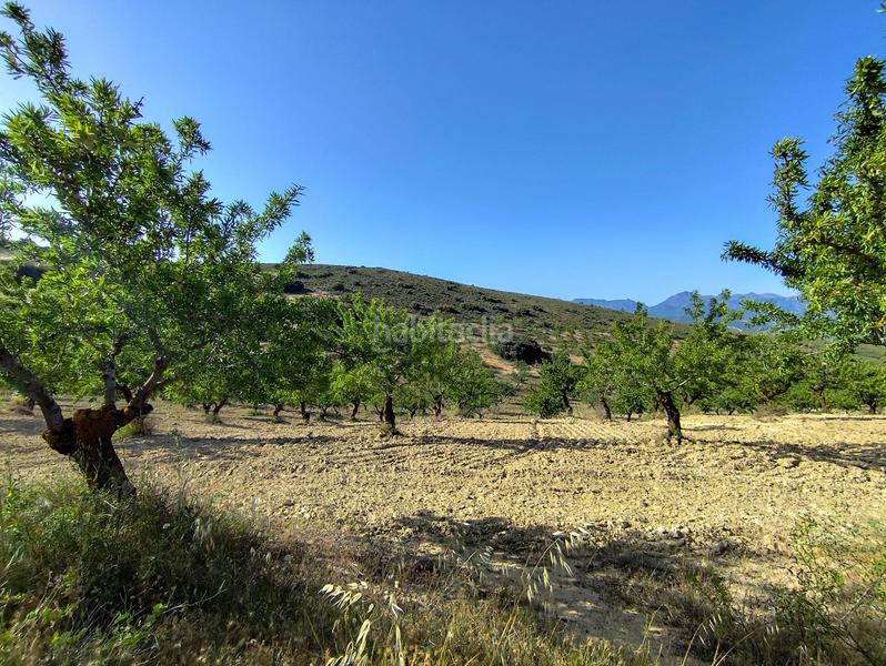 Foto 8c1c588a-aef0-42ce-aaa0-fd1c3822d396. Propriété dans Arenas del Rey