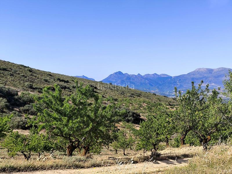 Foto 97bf13f7-197c-4521-b4a0-55c00d90014d. Propriété dans Arenas del Rey