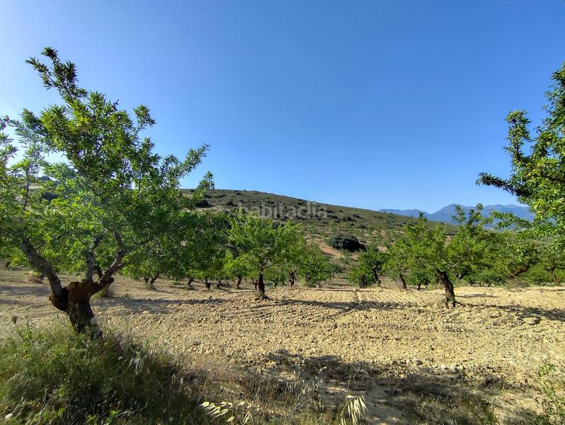 Foto 9f2a9480-760f-401e-bd87-1dd35195c25a. Propriété dans Arenas del Rey