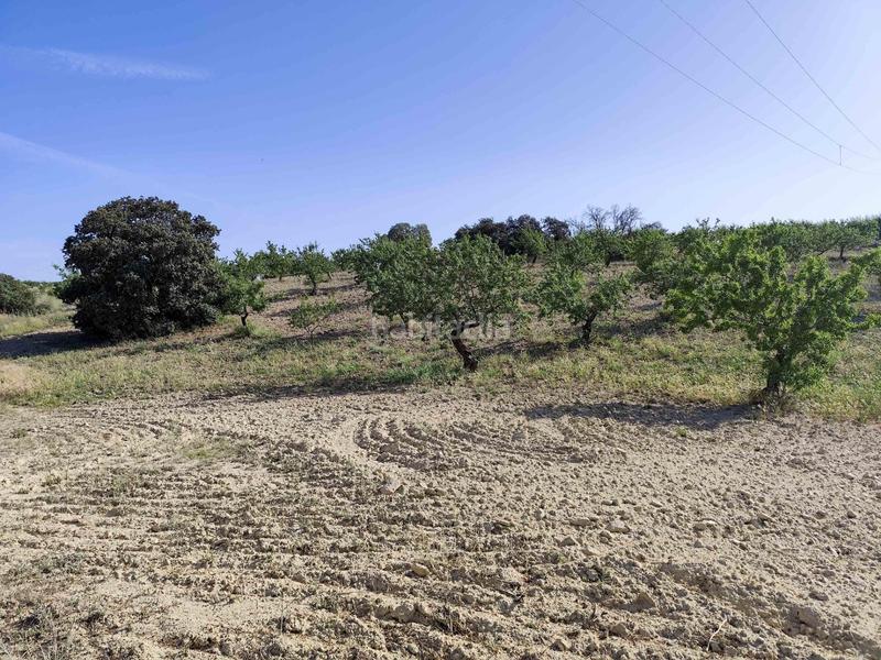 Foto b90186fe-fe35-4d0b-aba7-62bf75c0551b. Propriété dans Arenas del Rey