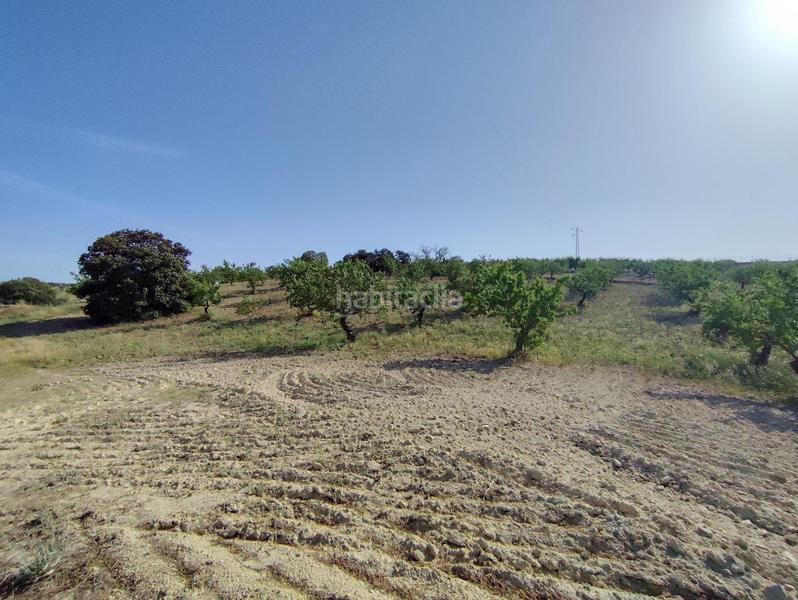 Foto b95d39be-b838-4ee3-979e-ec7e30d0c6fa. Finca rústica  en Arenas del Rey