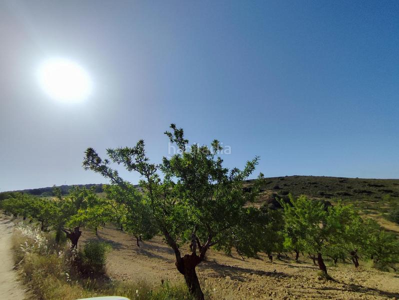 Foto c99b9e4e-8943-4db2-9de0-74b84df5e899. Propriété dans Arenas del Rey