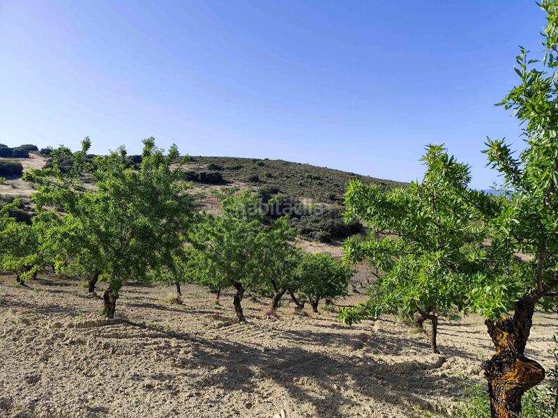 Foto ddf8a546-b211-4ebd-8b2d-1de7e458deec. Propriété dans Arenas del Rey