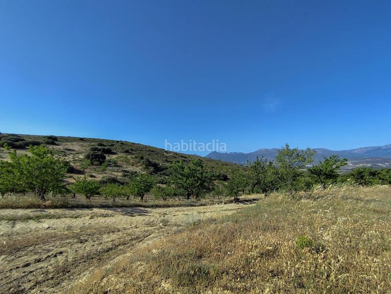 Foto f4cdcd87-309b-4b74-97cf-b990847c7585. Propriété dans Arenas del Rey