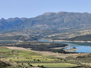 Fondo rustico  Polígono 8 parcela 166 cuerda de agron. arenas de. Finca de olivos y almendros