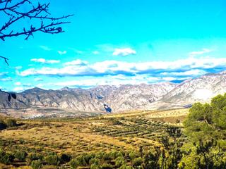 Mas  Polígono 3 parcela 139 las peqas. villamena (gran