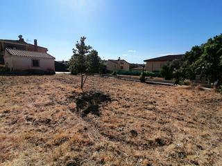 Residential Plot  Calle cariñena