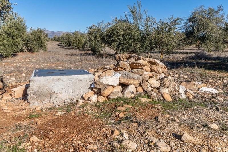 Foto aa67c434-e4b2-4920-8060-5f5e06988680. Masía olivar en venta en Cogollos de la Vega