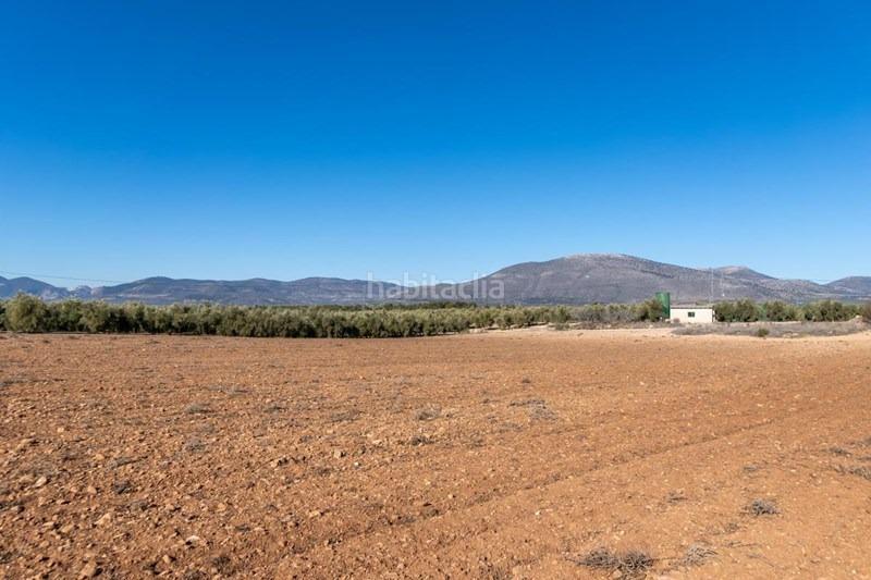 Foto cd342ed6-fb76-4718-9301-ca1e3f439595. Masía olivar en venta en Cogollos de la Vega