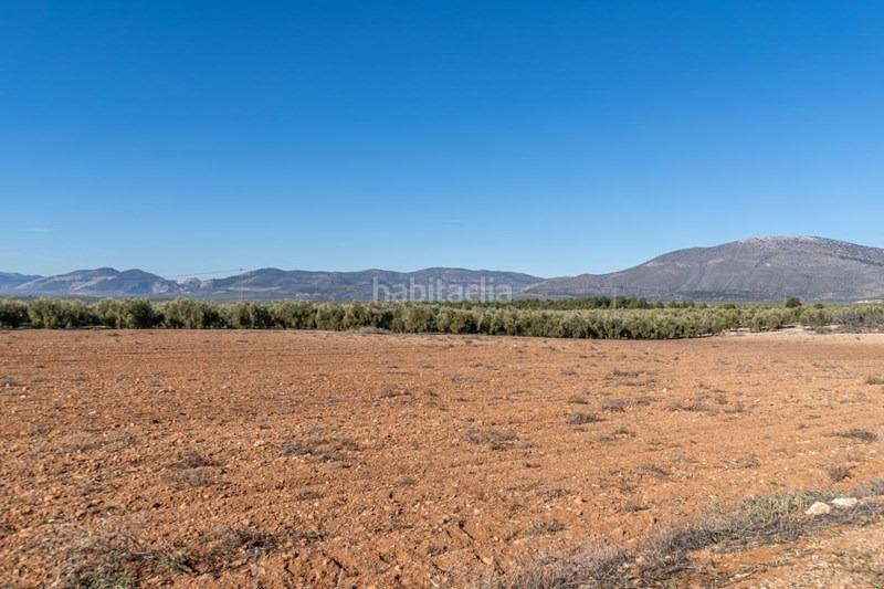 Foto d03cb03c-f5b2-418d-b191-fbed1ada7ca0. Masía olivar en venta en Cogollos de la Vega