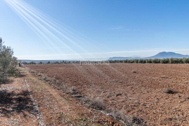 Foto e19b9d3d-10bc-4079-bb2e-65fff3a74541. Masía olivar en venta en Cogollos de la Vega