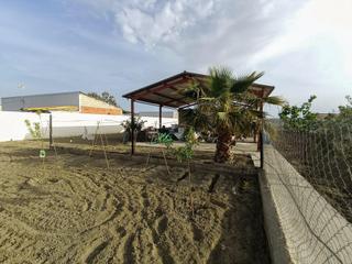Finca rústica  Polígono 13 paraje 185 tarquinar alto. Coqueta parcela de campo con luz y agua