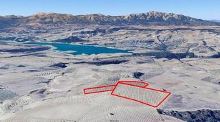 Masia  Arenas del rey. Oportunidad única