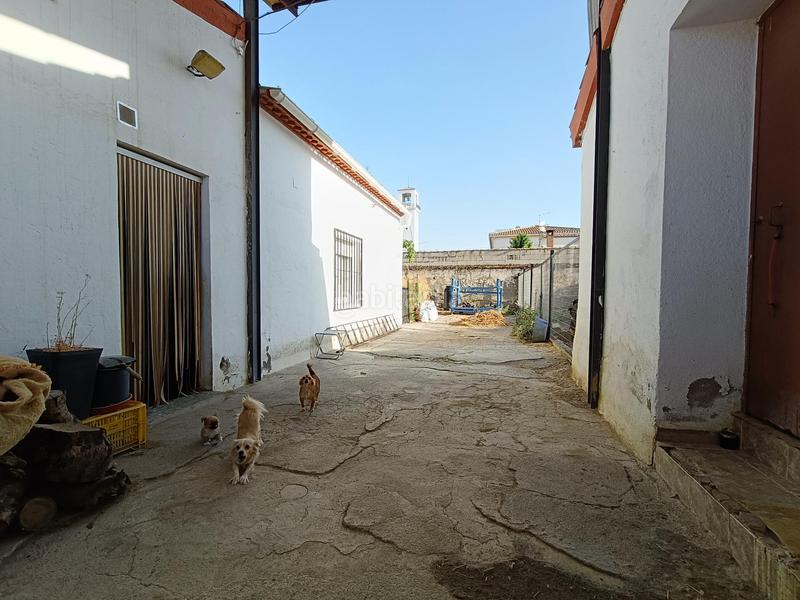 Foto e03c1c80-50bb-46c4-9ab2-596bb7e68752. Casa oportunidad en peñuelas! casa en planta baja con amplio espacio y comodidad en Láchar