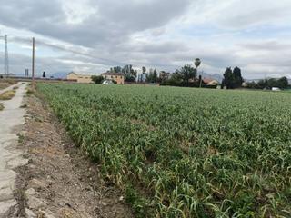 Finca rústica en Purchil. Magnifica parcela en la vega