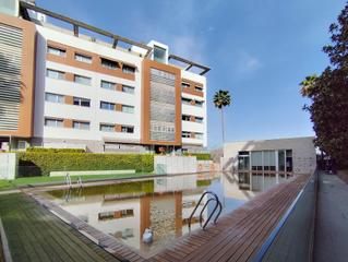 Piso  Avenida avenida del conocimiento. Piso en planta baja