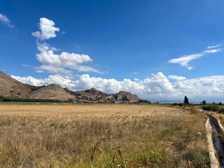 Casale  Polígono de la vega. Finca de regadío