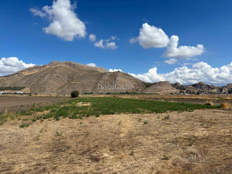 Foto b5e244e5-3cc9-44b7-ac23-f2bb4e17cdf5. Casale in Pinos Puente