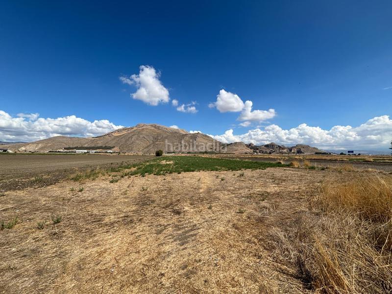 Foto f7504256-6fce-4e50-bf5d-53f645b16ffe. Casale in Pinos Puente