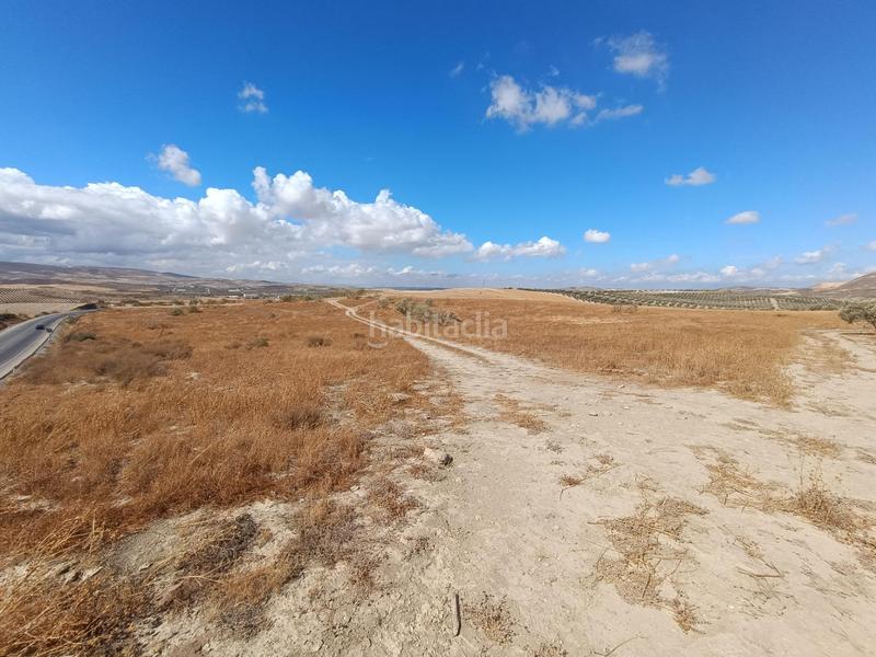 Foto 39549351-a782-4a8d-8865-b55bed399e40. Casale in Villa de Otura