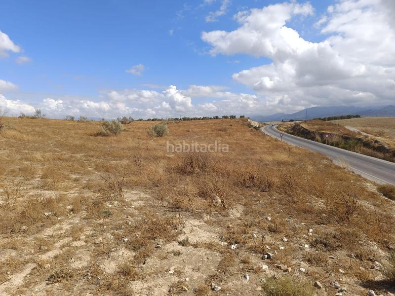 Foto c18d37c5-5805-4260-86ba-85bae5550933. Casale in Villa de Otura