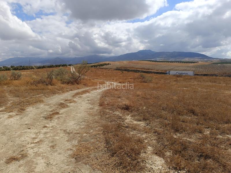 Foto f320c341-9fd8-4d35-b720-bdb2166db471. Casale in Villa de Otura