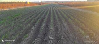 Finca rústica a Fuente Vaqueros. Dos fincas junto a  pedro ruiz