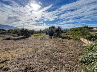 Bauernhof  Calle de fuente de la higuera. Finca rústica en venta en padul, granada