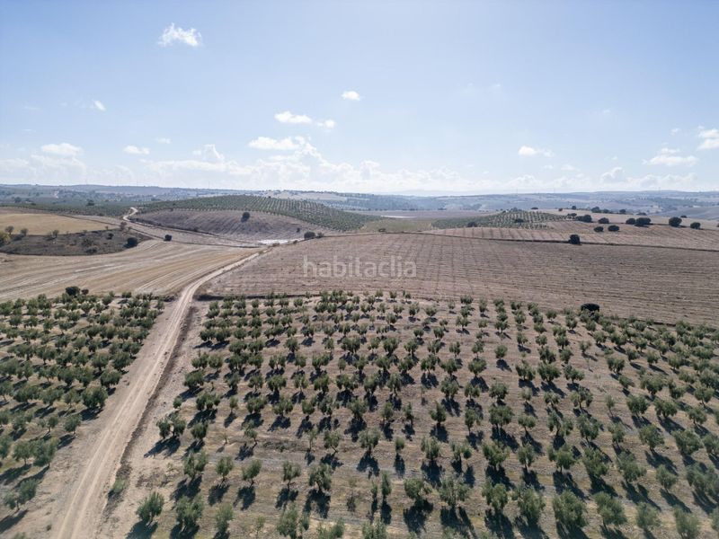 Foto 2f28ad8c-1f3e-4db9-a8c4-4d7970e31f34. Finca rústica a Alamedilla