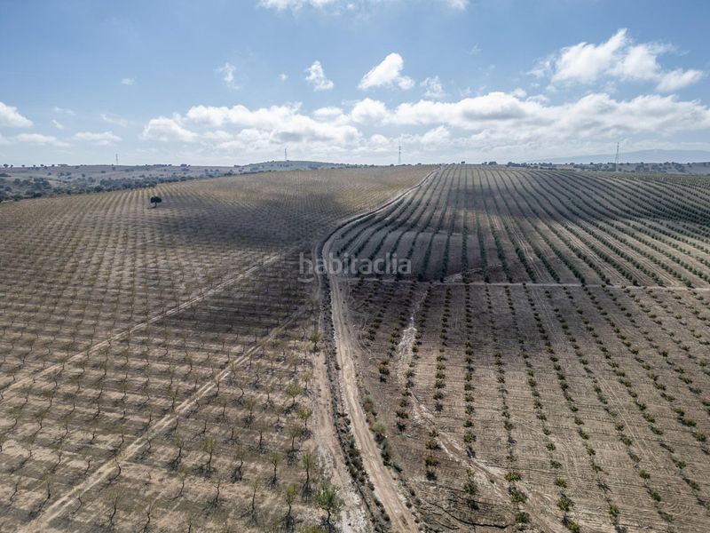 Foto 309cdc18-1f74-4634-9653-ca1409749b27. Finca rústica a Alamedilla