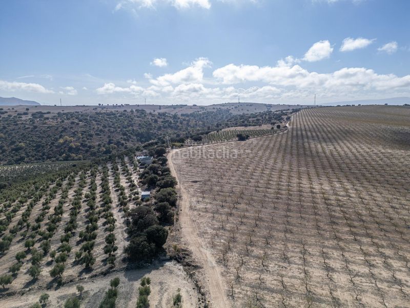 Foto 45f79f97-9f38-4c41-9509-a01cb965d760. Finca rústica a Alamedilla