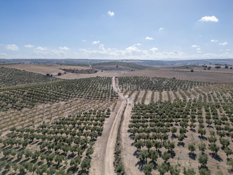 Foto 4d3b6103-5698-46c0-86f9-8c829706b3f7. Finca rústica a Alamedilla