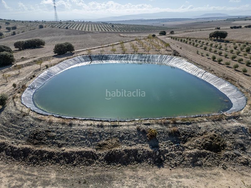 Foto 8e830f7d-e7c2-417c-b9b7-73726a7ff194. Finca rústica a Alamedilla