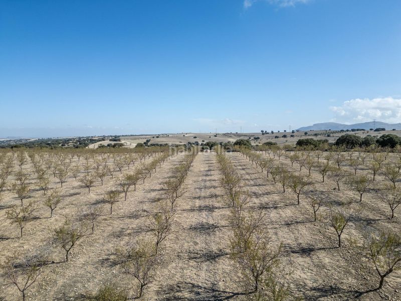 Foto b2f82709-ea4e-4699-80b3-ddee3423d775. Finca rústica a Alamedilla