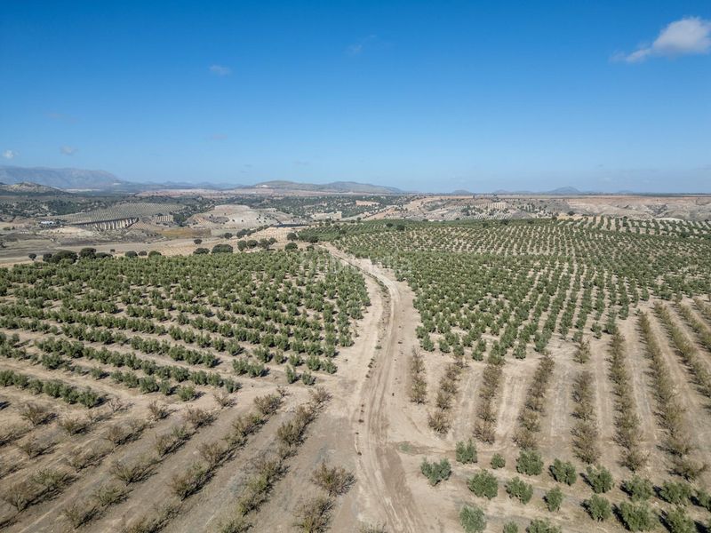 Foto c79a1432-bc0f-4978-b262-003f75568ff7. Finca rústica a Alamedilla