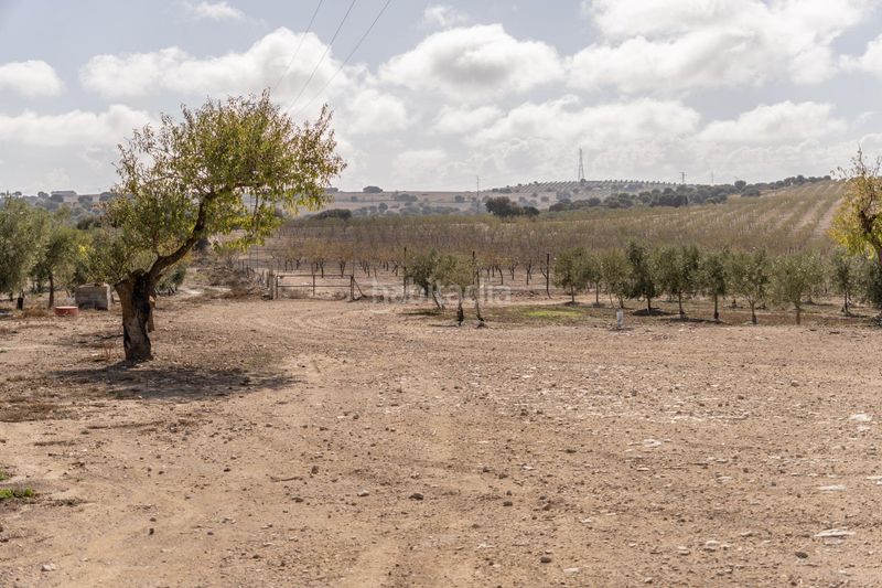 Foto d657716d-ff83-4c75-84f9-db530616a17d. Finca rústica a Alamedilla