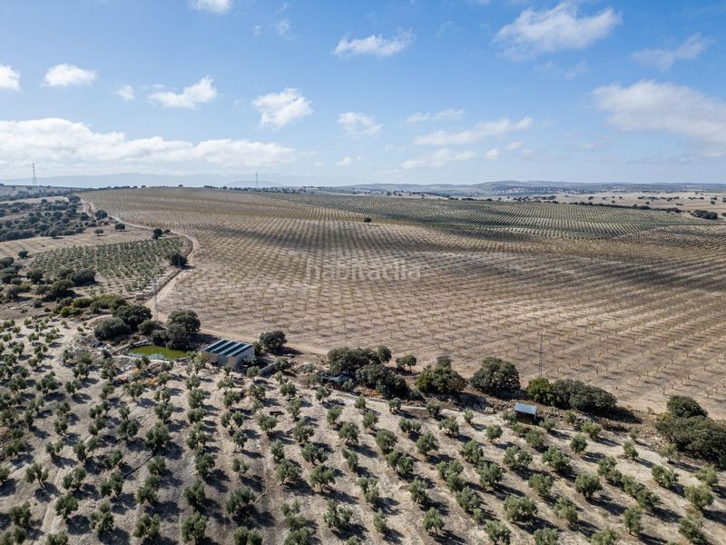 Foto ea9a9333-d17f-415d-8b6f-51df8581bf18. Finca rústica a Alamedilla
