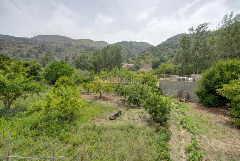 Foto 49350b87-ea5d-4640-b674-4bf8b24c1d34. Finca rústica a Pinar (El)
