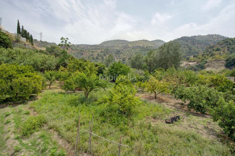 Foto a1cc5194-cf59-4c58-b379-94b8b9684700. Finca rústica a Pinar (El)