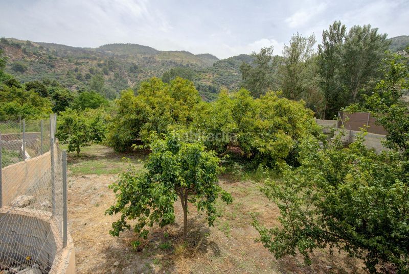 Foto ad4a26c3-aac9-4c2b-bbde-48d5b4061608. Finca rústica a Pinar (El)