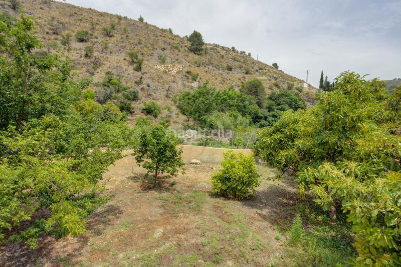 Foto e621804d-4a2e-409b-a8c3-9ada53666e1b. Finca rústica a Pinar (El)