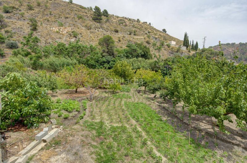 Foto e9fde304-5eea-4ab3-a3f3-9068701acfdf. Finca rústica a Pinar (El)