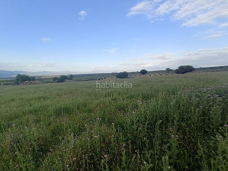 Foto 13b6447e-afe5-48cc-855b-a6538c61bff2. Masia a Salar
